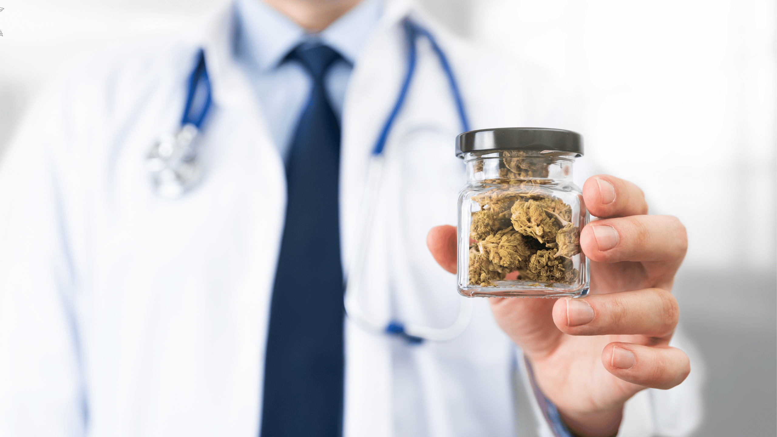 Gorilla Glue: Potente Sorte und Wirkung